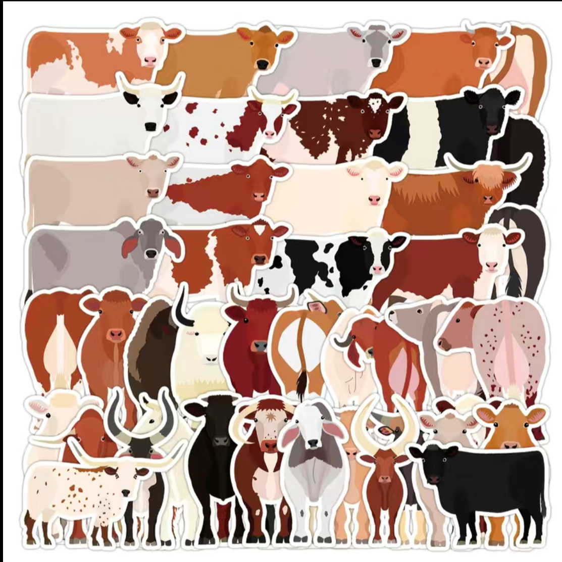 Cow Sticker