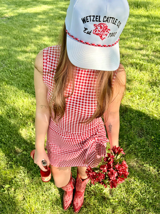 Cherry Gingham Sleeveless Wrap Tie Dress